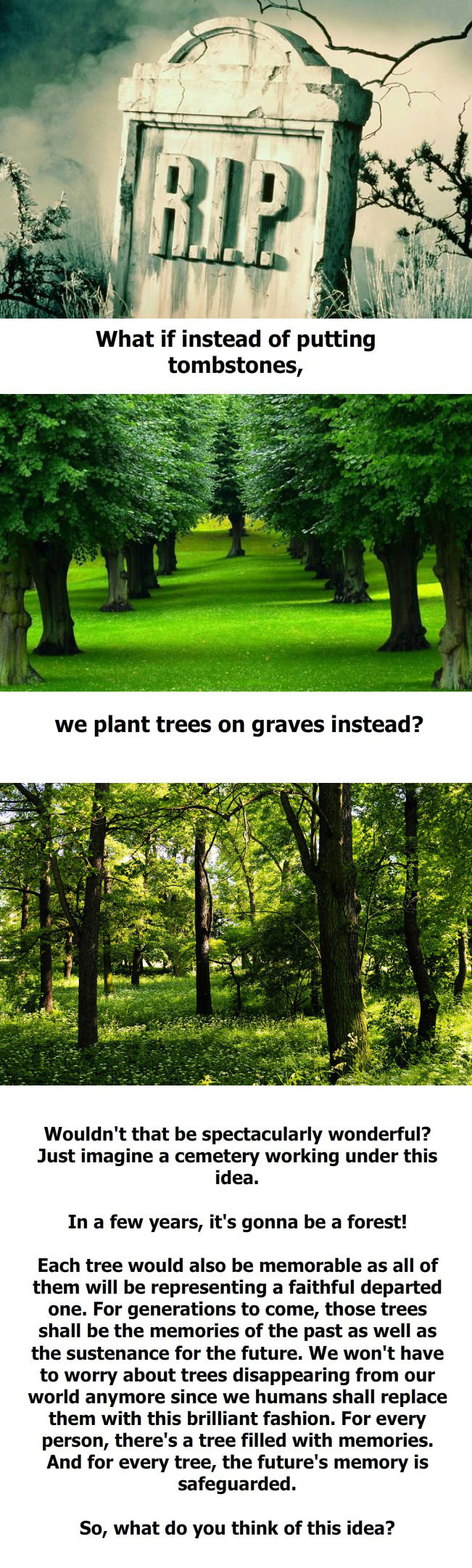 what if instead of putting tombstones, we plant trees on graves instead