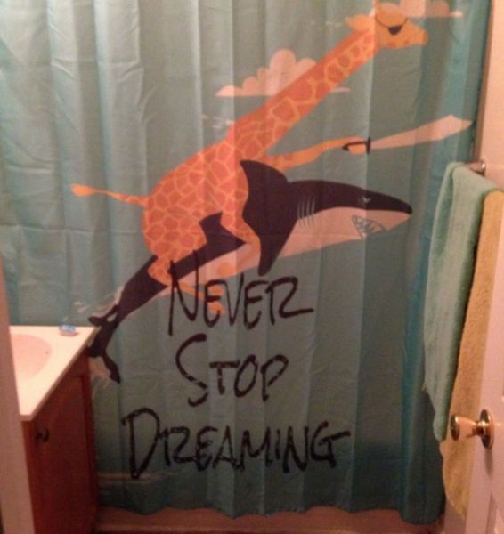 never stop dreaming shower curtains, giraffe holding a sword riding a shark, wtf