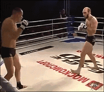 fighter lands roundhouse kick in kickboxing match, win