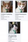 best names for cats ever, professor puddinpop, colonel snazzypants, the good king snugglewumps