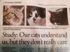 study says our cats understand us, but they don't really care, newspaper