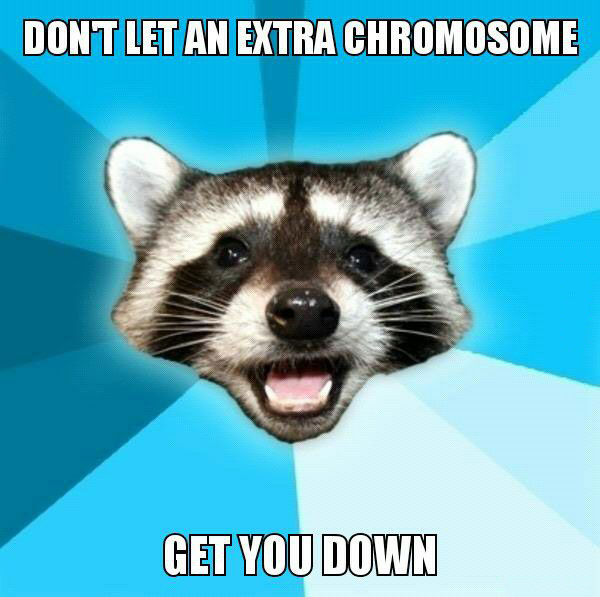 don't let an extra chromosome get you down, lame pun coon, meme