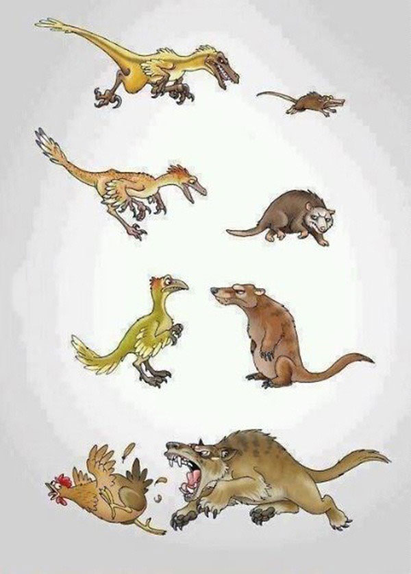 evolution is a btich, mammal chasing aves, raptor chasing mammal