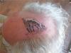 make the most of your baldness, goat eating grass on head tattoo