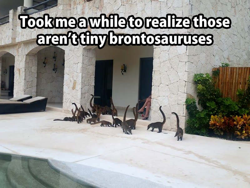 took me a while to realize those aren't tiny brontosauruses