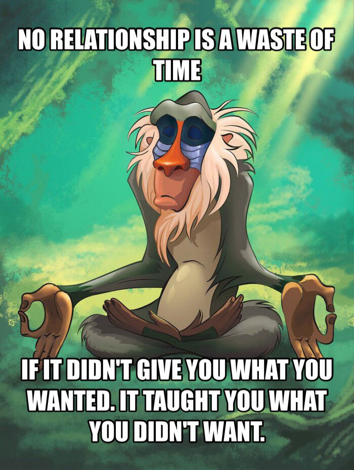 no relationship is a waste of time, if it didn't give you what you wanted, it taught you what you didn't want, rafiki meditating, meme
