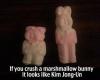 if you crush a marshmallow bunny, it looks like kim jung un