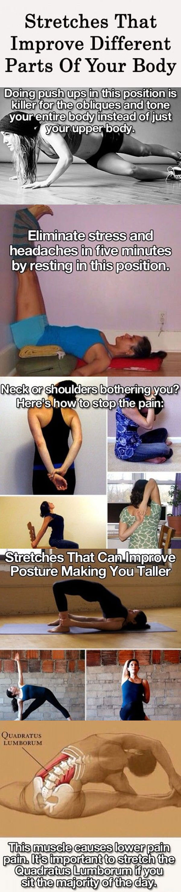 types of stretches that improve different parts of your body