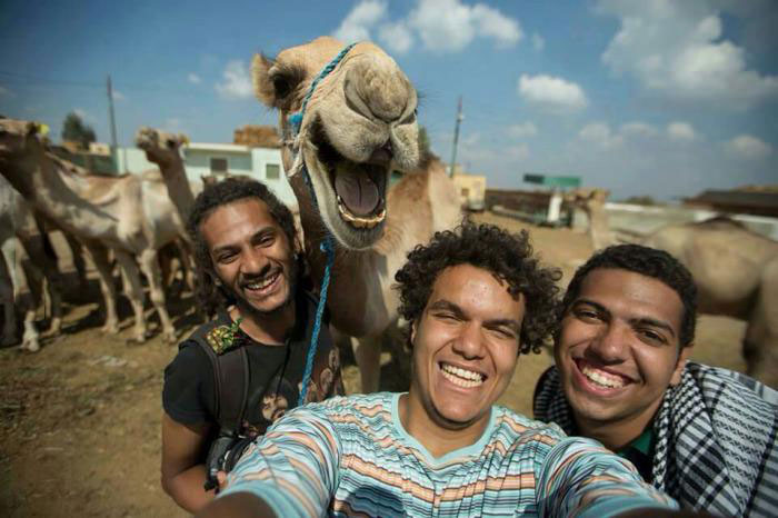 selfie with a camel in egypt
