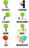 a tree and various drug effects, alcohol, cannabis, cocaine, mdma, amphetamine, meth, lsd, mushrooms