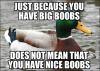 just because you have big boobs, does not mean that you have nice boobs, actual advice mallard, meme