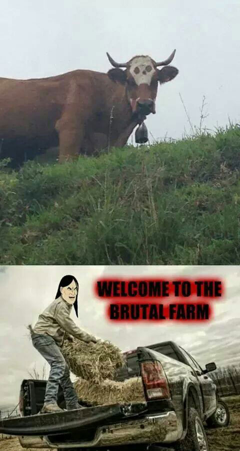 welcome to brutal farm, most metal cow ever, skull pattern on head