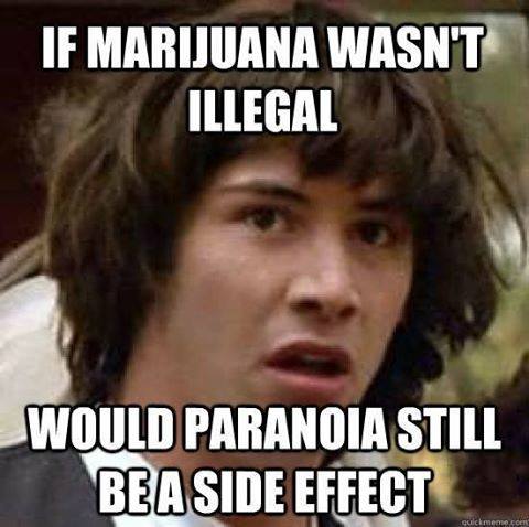 if marijuana wasn't illegal, would paranoia still be a side effect, conspiracy keanu, meme