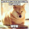 not always such interesting, but when am wow, doge, meme