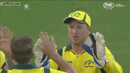 cricket high-five fail, finger to the eye, ouch