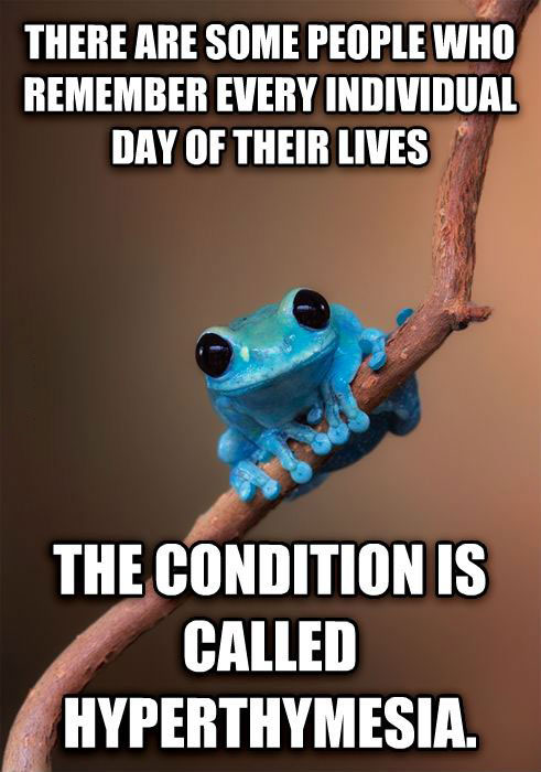 there are some people who remember every individual day of their lives, the condition is called hyperthymesia, small fact frog, meme