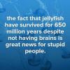 the fact that jellyfish have survived for 650 million years despite not having brains is great news for stupid people