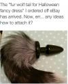 the fur wolf tail for halloween fancy dress i ordered off ebay has arrived, now any ideas how to attach it?, butt plug, lol