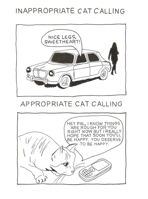 inappropriate and appropriate cat calling explained in one simple comic