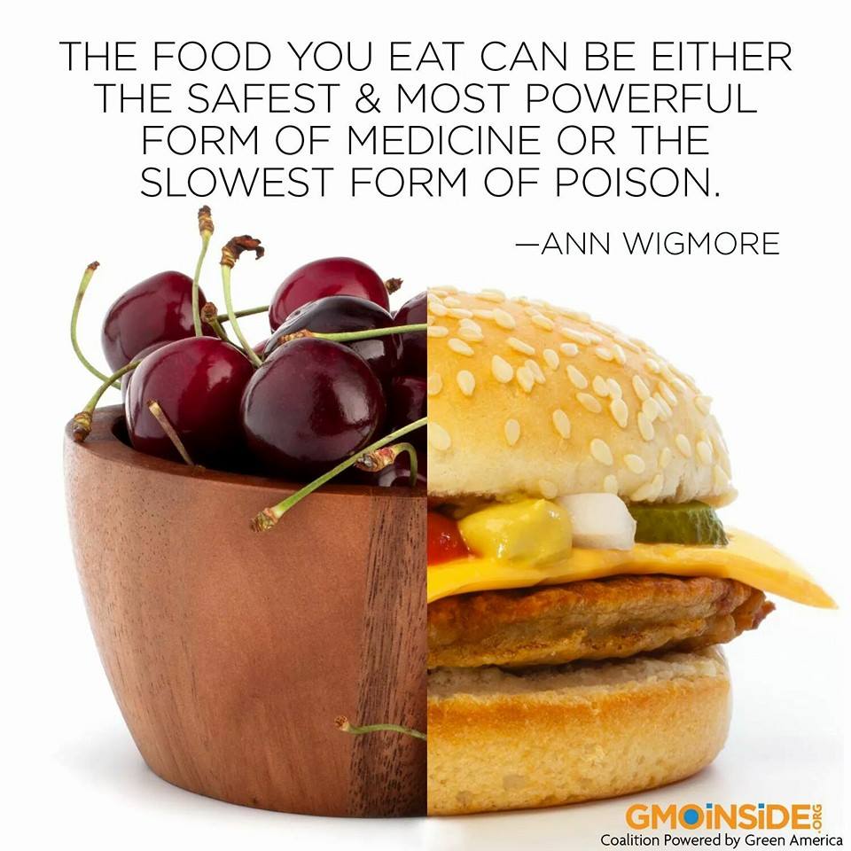 the food you eat can either be the safest and most powerful form of medicine, or the slowest form of poison, ann wigmore, healthy eating, nutrition