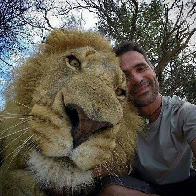 epic selfie with a lion