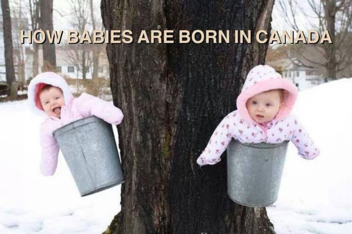 how babies are born in canada