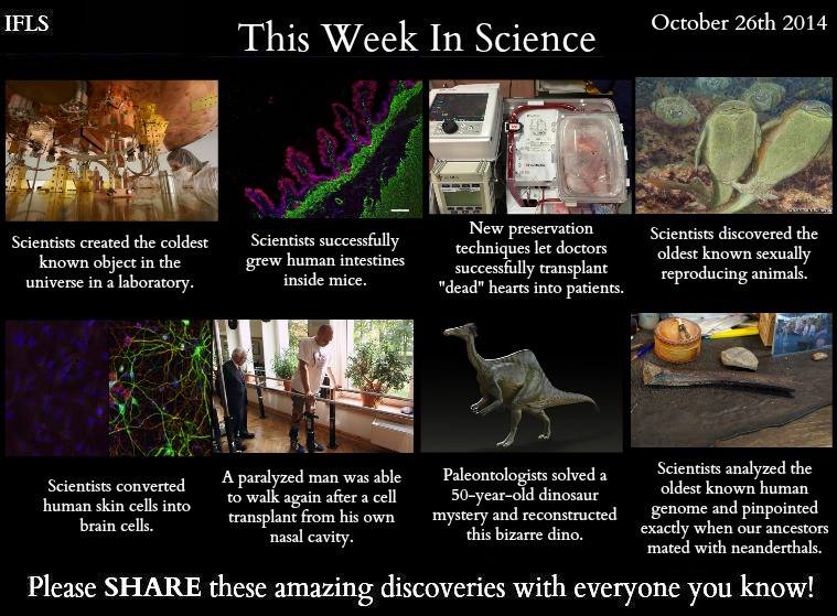 this week in science, october 26th 2014