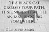 if a black cat crosses your path, it signifies that the animal is going somewhere, groucho marx