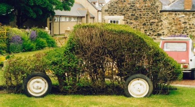 bush with wheels in the shape of a car