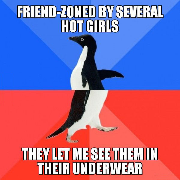friend-zoned by several hot girls, they let me see them in their underwear, socially awkward penguin, meme