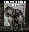 how not to hold a puppy, perspective makes girl look like a flasher