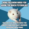 how you know when you know too much psychology, you can't get mad because you understand everyone's reasons for doing everything, meme