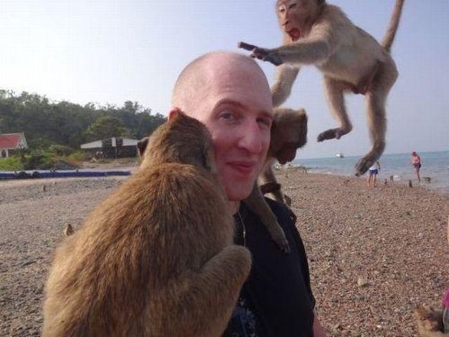 man with monkeys moments before the attack began