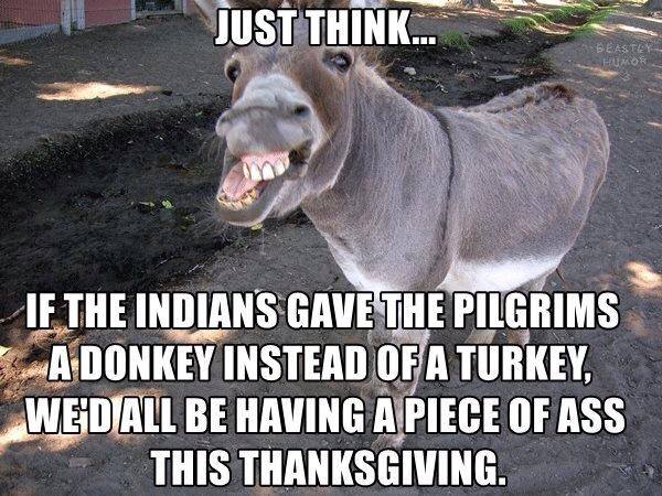 just think if the indians gave the pilgrims a donkey instead of a turkey, we'd all be having a piece of ass this thanksgiving, meme