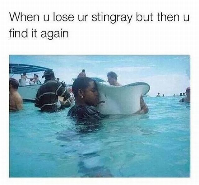 when you lose ur stingray but then you find it again