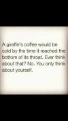a giraffe's coffee would be cold by the time it reached the bottom of its throat, ever think about that?, no you you only think about yourself