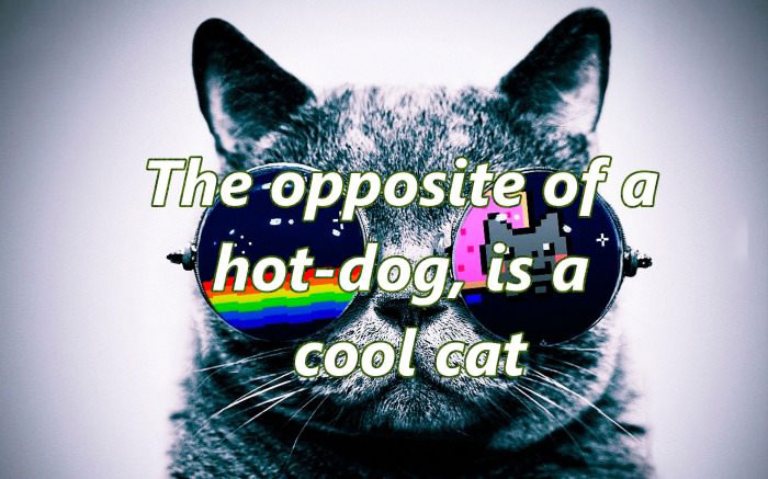 the opposite of a hot dog is a cool cat