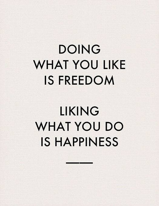 doing what you like is freedom, liking what you do is happiness