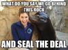 what do you say we go behind this rock and seal the deal, pick up line seal, pun, meme