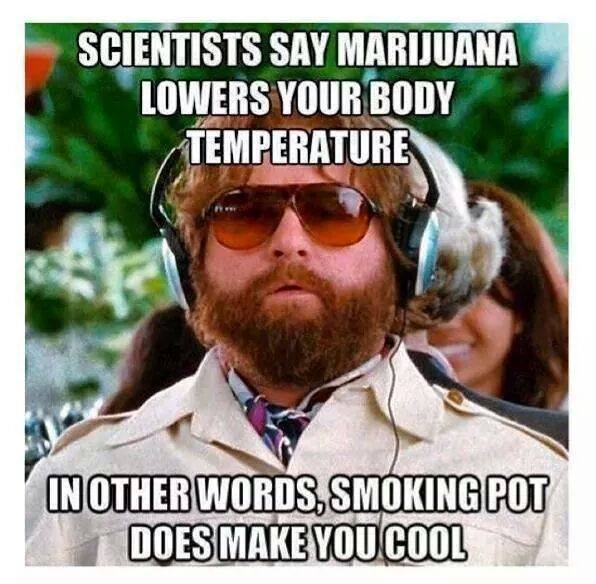 scientists say marijuana lowers your body temperature, in other words smoking pot does make you cool, meme