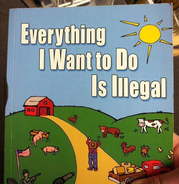 everything i want to do is illegal, strange children book