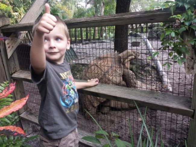 kid gives thumbs up for turtles reproducing