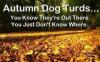 autumn dog turds, you know they're out there, you just don't know where