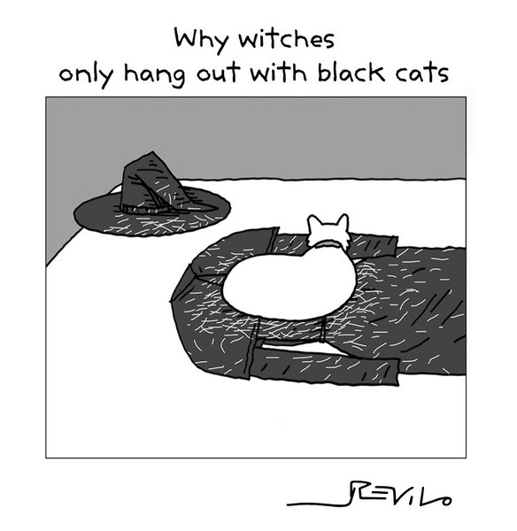 why witches only hang out with black cats, halloween
