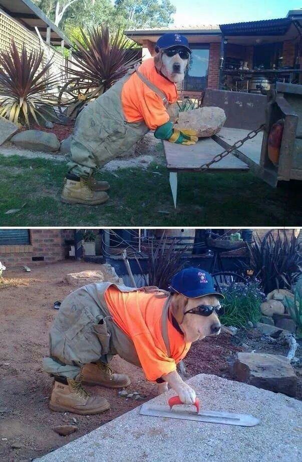 man's best friend construction company
