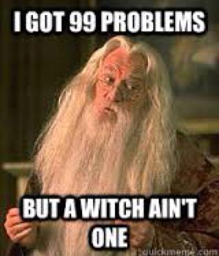 i've got 99 problems but a witch aint one, dumbledore, meme