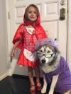 little red riding hood and the wolf, halloween costumes fro kids and dogs