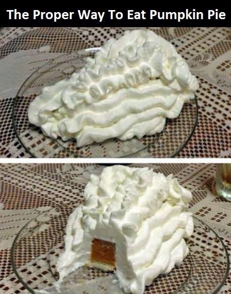 the proper way to eat pumpkin pie, completely hidden in whipped cream