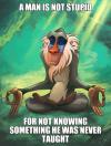 a man is not stupid for not knowing something he was never taught, rafiki meditating, meme