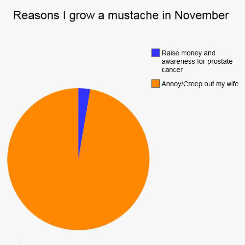 reasons i grow a moustache in november, annoy creep out my wife